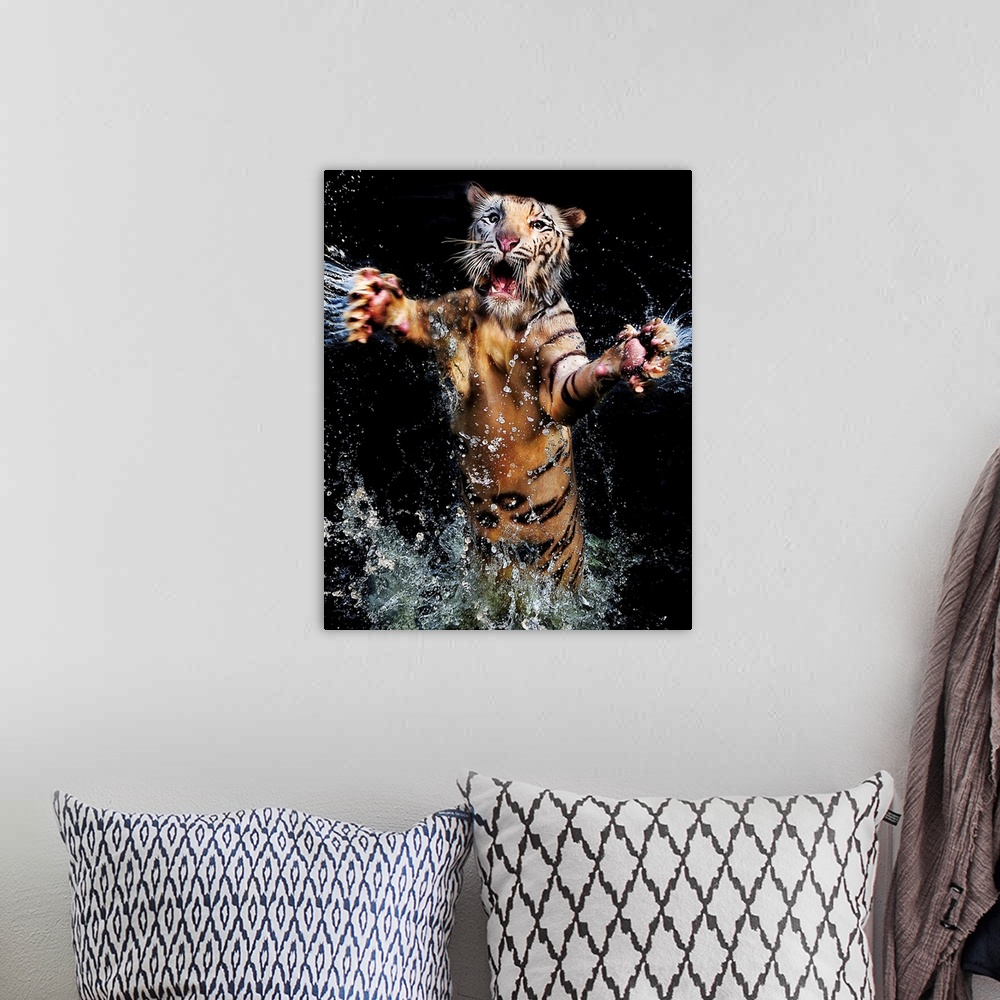 A bohemian room featuring A tiger leaping out of the water with its arms outstretched.