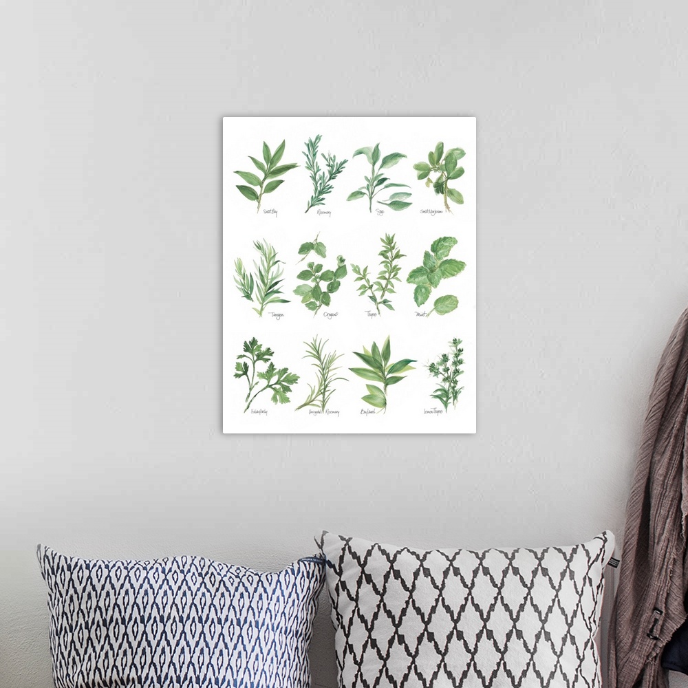 A bohemian room featuring Watercolor painted chart of various herbs with their titles underneath on solid white background.