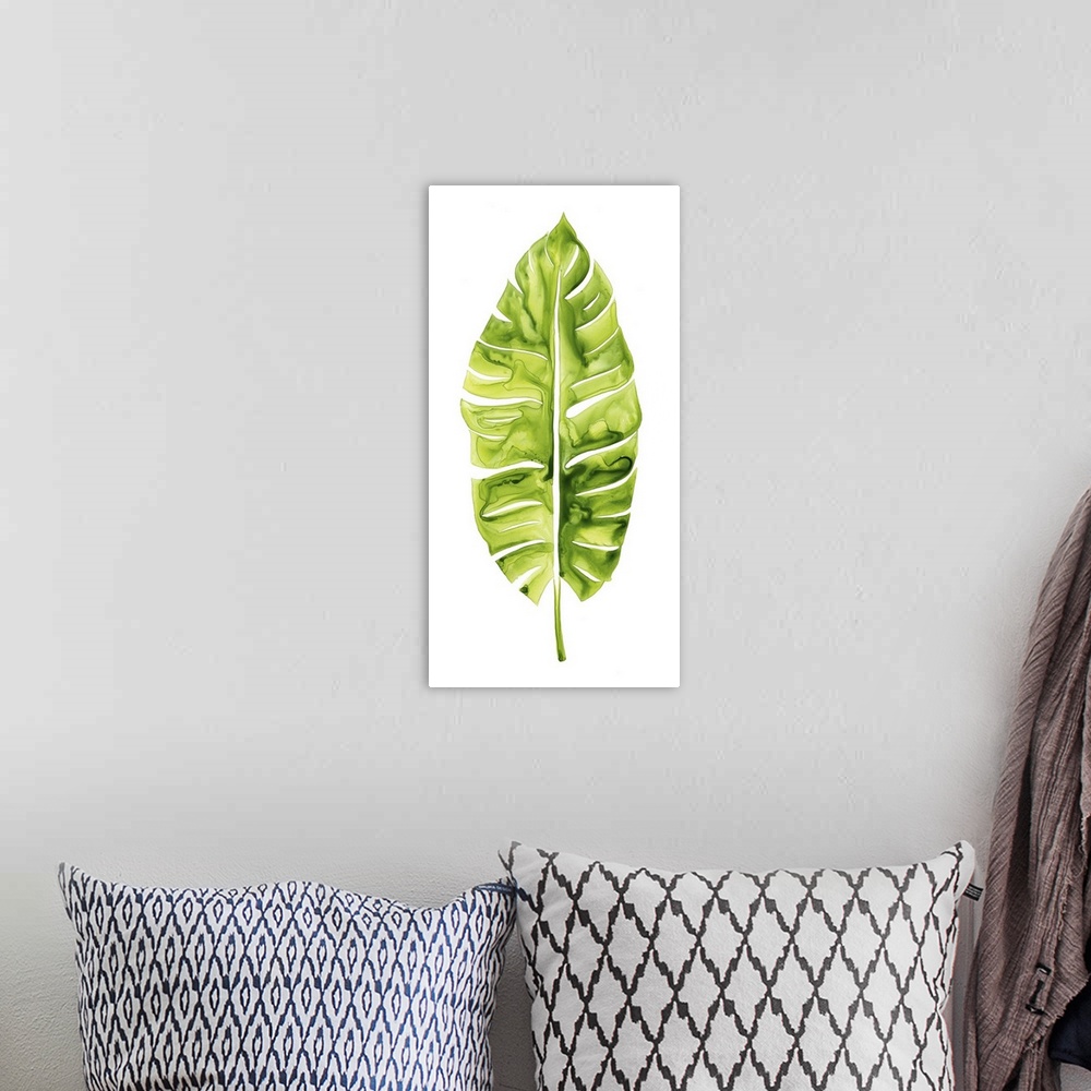 A bohemian room featuring Vibrant green broad tropical leaf on white.