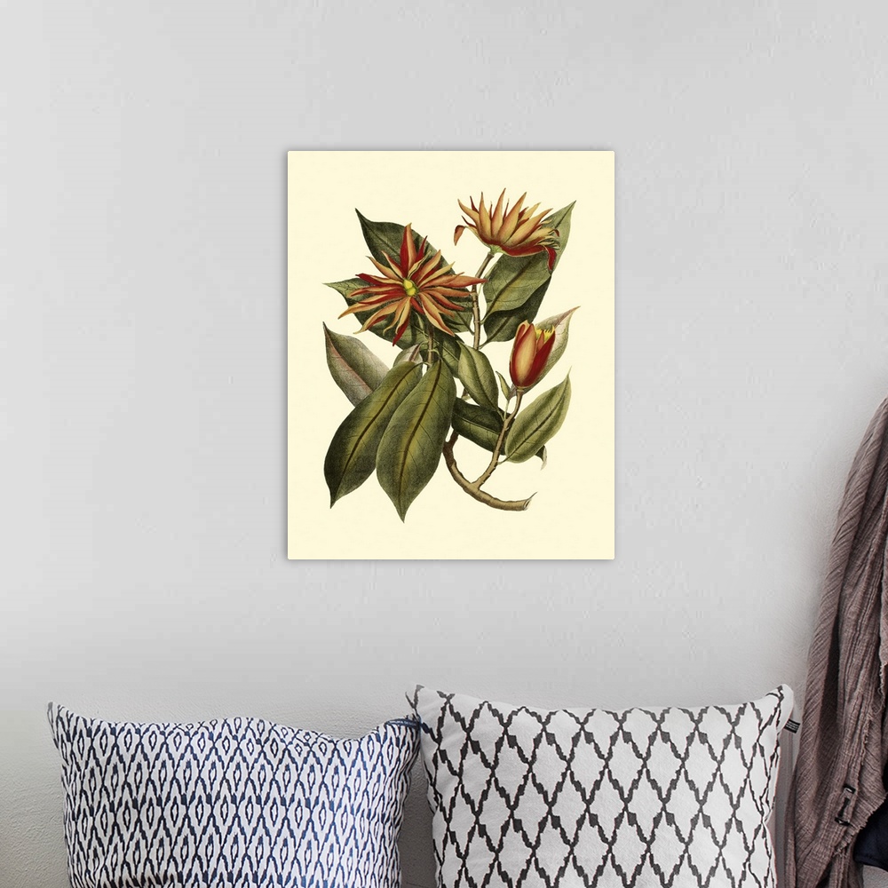 A bohemian room featuring Contemporary artwork of a botanical illustration in a vintage style.