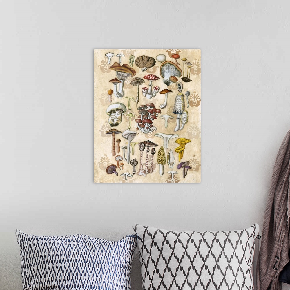 A bohemian room featuring Mycological Study