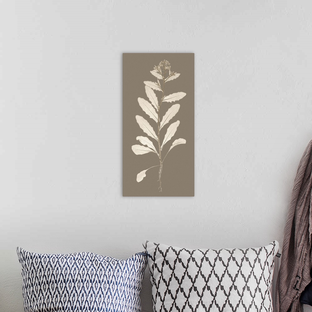 A bohemian room featuring Taupe Nature Study IV