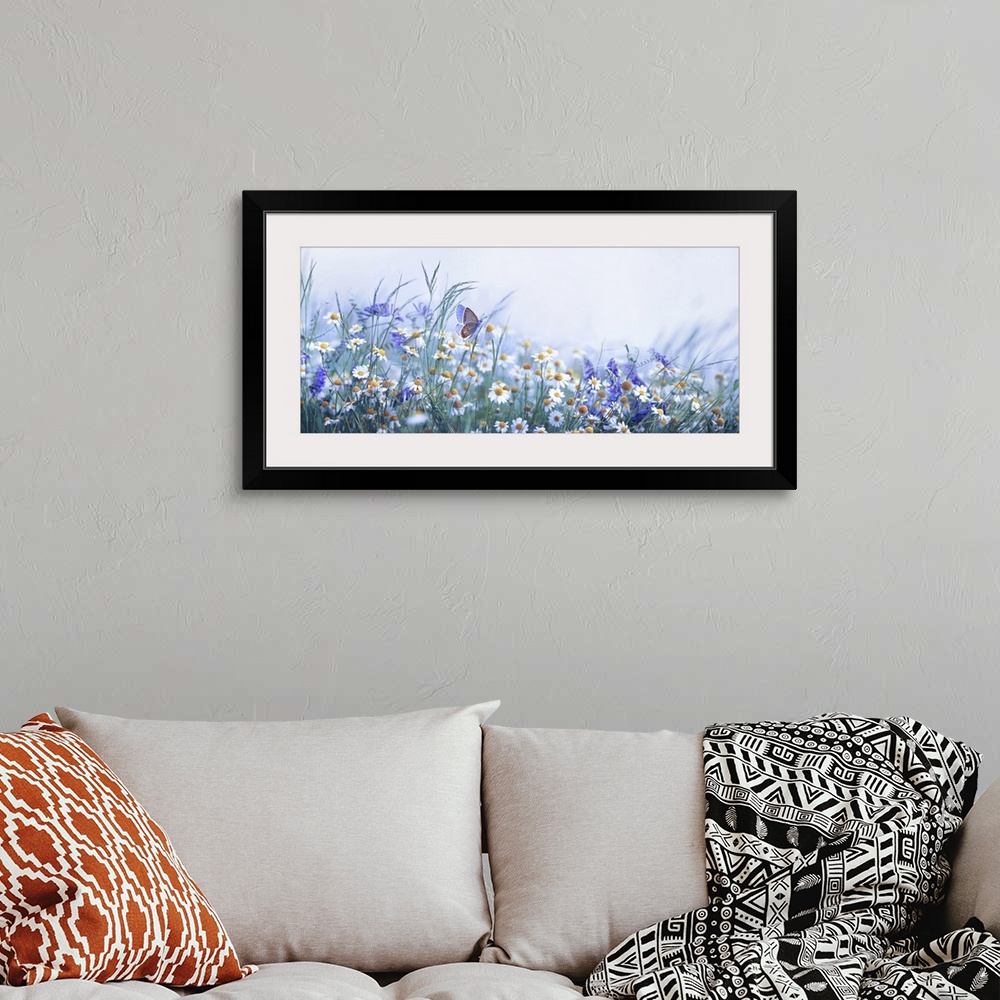 A bohemian room featuring Chamomile, Purple Wild Peas, And Butterfly In Morning Haze