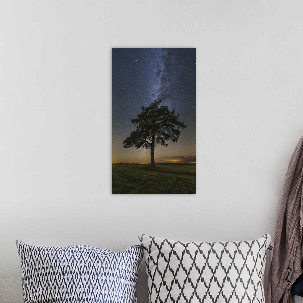A bohemian room featuring Lonely tree in a field at night under the Milky Way in Vyazma, Russia.