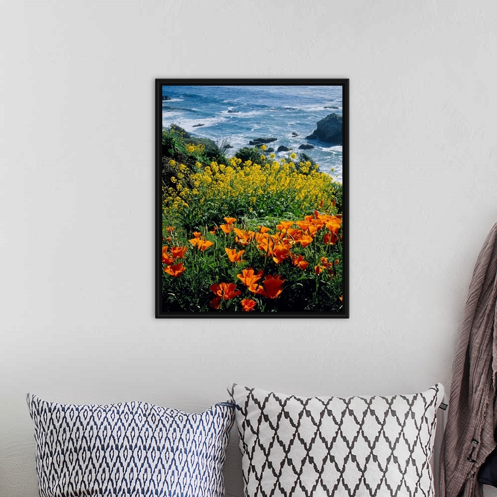 A bohemian room featuring Vertical photograph of florals growing on the top of a cliff overlooking the sea.