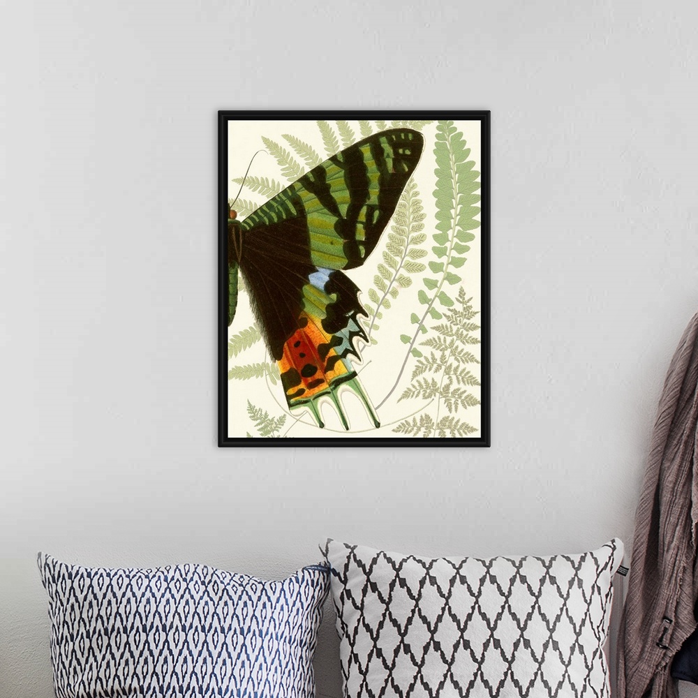 A bohemian room featuring A contemporary piece of artwork of a vintage stylized butterfly displaying of half of the butterfly.