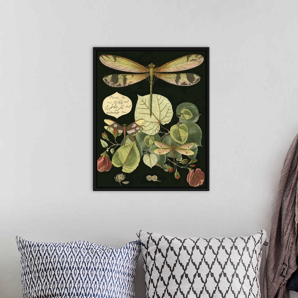 A bohemian room featuring Vintage illustrative stylized dragonfly and various botanical's against a black background.