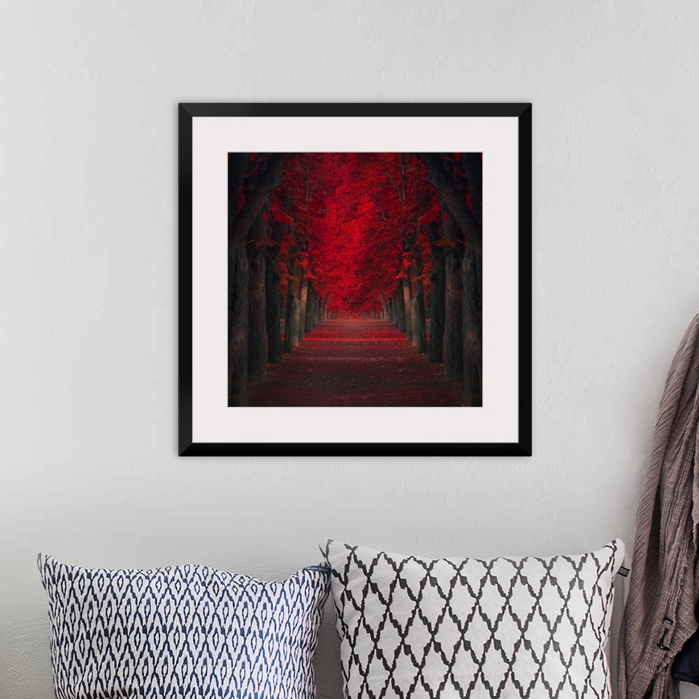 A bohemian room featuring Pathway lined with trees with deep red leaves.