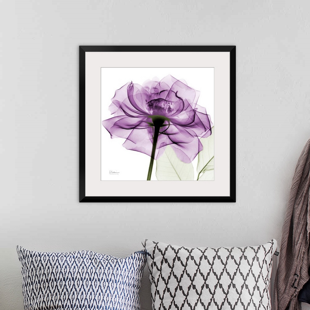 A bohemian room featuring A big print of a translucent rose with petals against a white background.