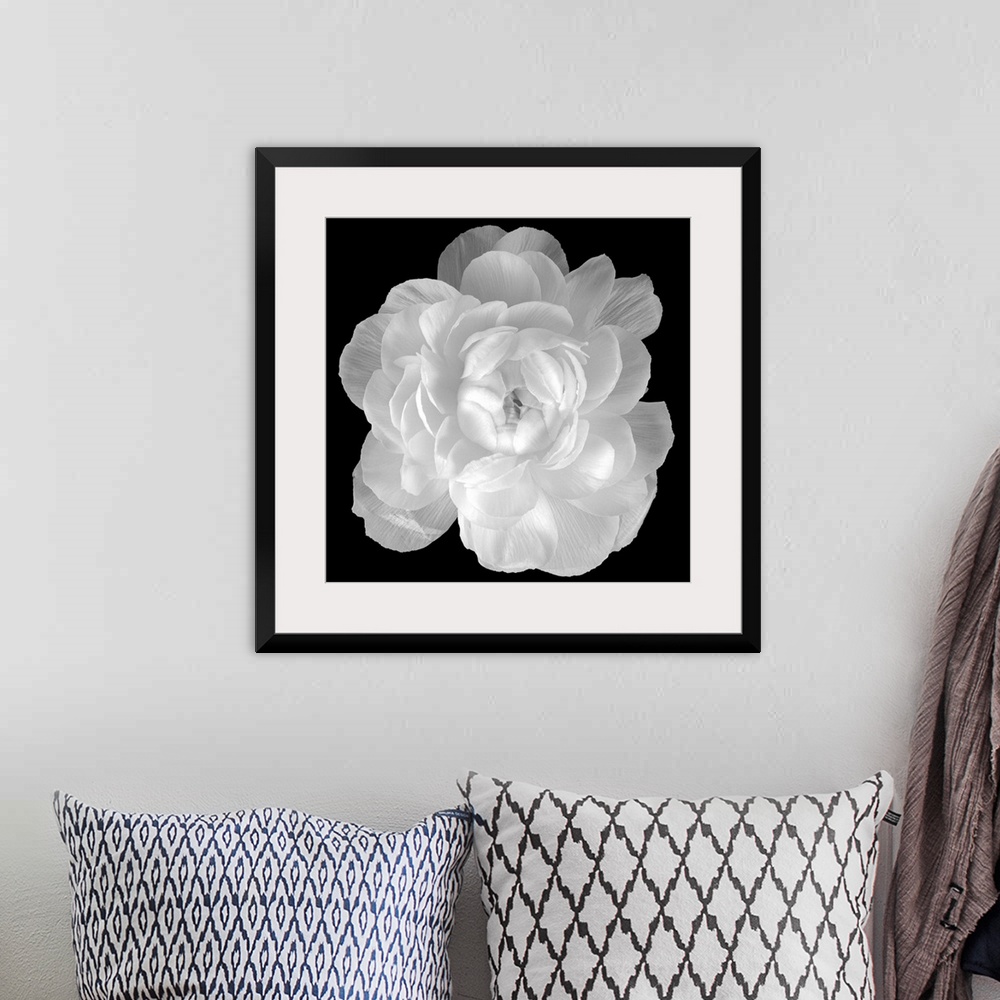 A bohemian room featuring Big square photograph involving a close-up of a Ranunculus flower.