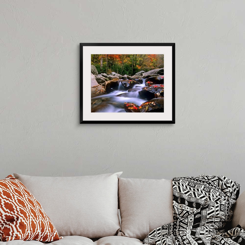 A bohemian room featuring Big photograph shows the fast moving water of a stream in the Southeastern United States as it ma...