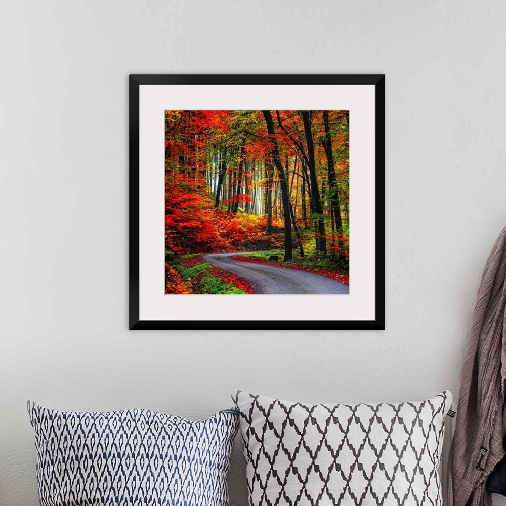 A bohemian room featuring Square Fine Art photograph of a winding road leading upward through a forest of vibrant fall colors.
