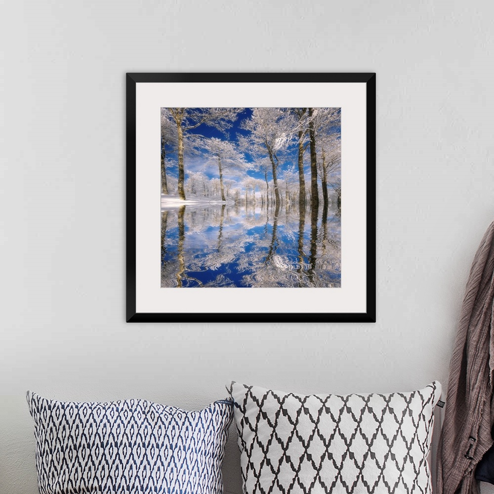 A bohemian room featuring This square photograph of a frozen landscape shows ice covered trees reflecting in the rippling s...