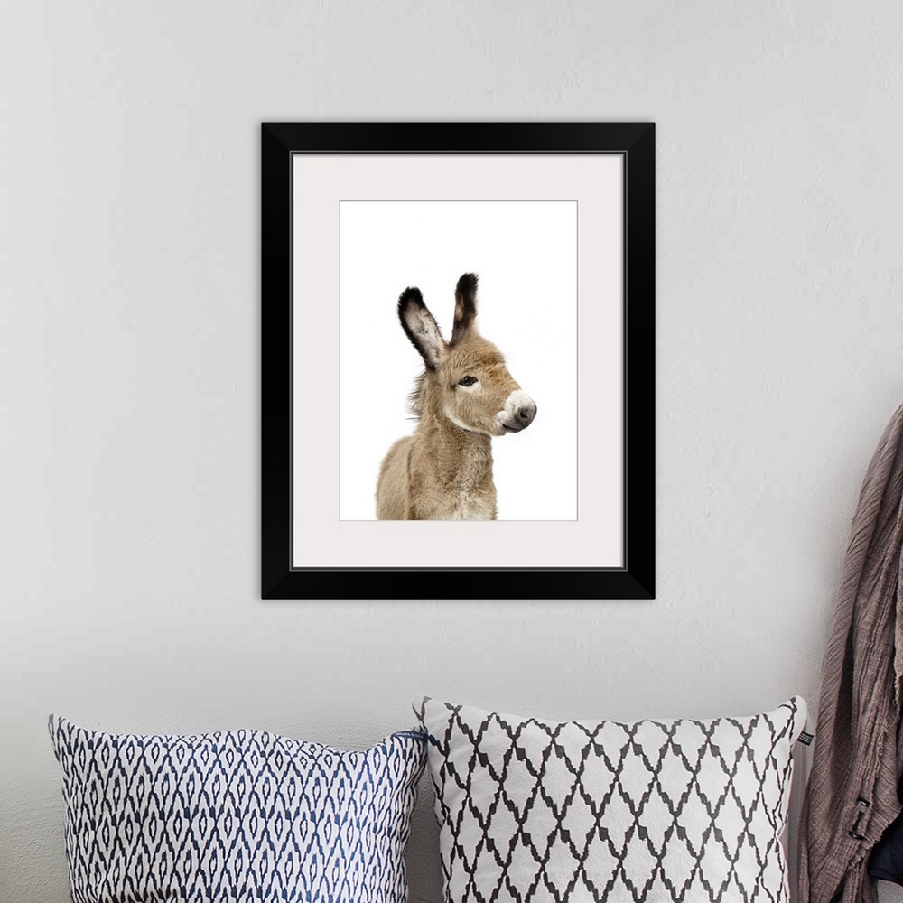 A bohemian room featuring Baby Donkey