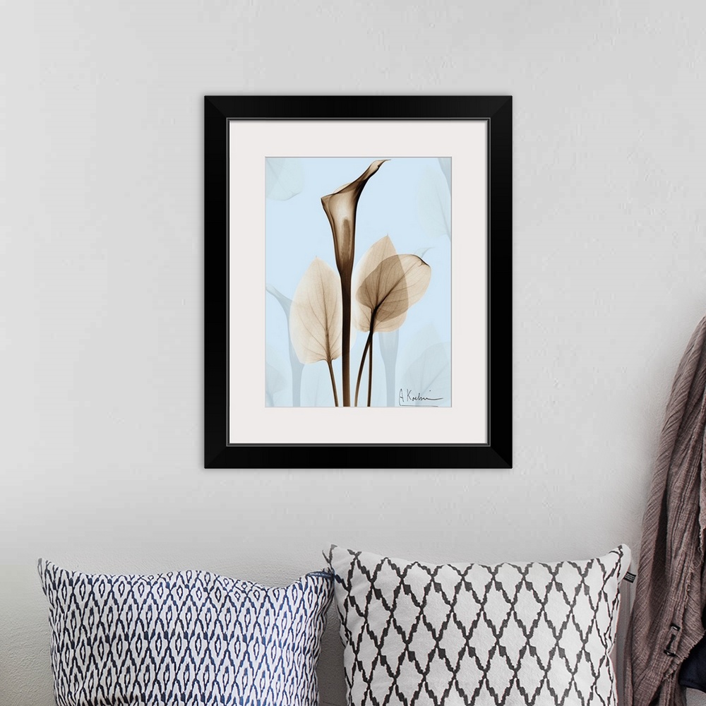 A bohemian room featuring Large, vertical x-ray photograph of a calla lily and several leaves, on a light background with t...