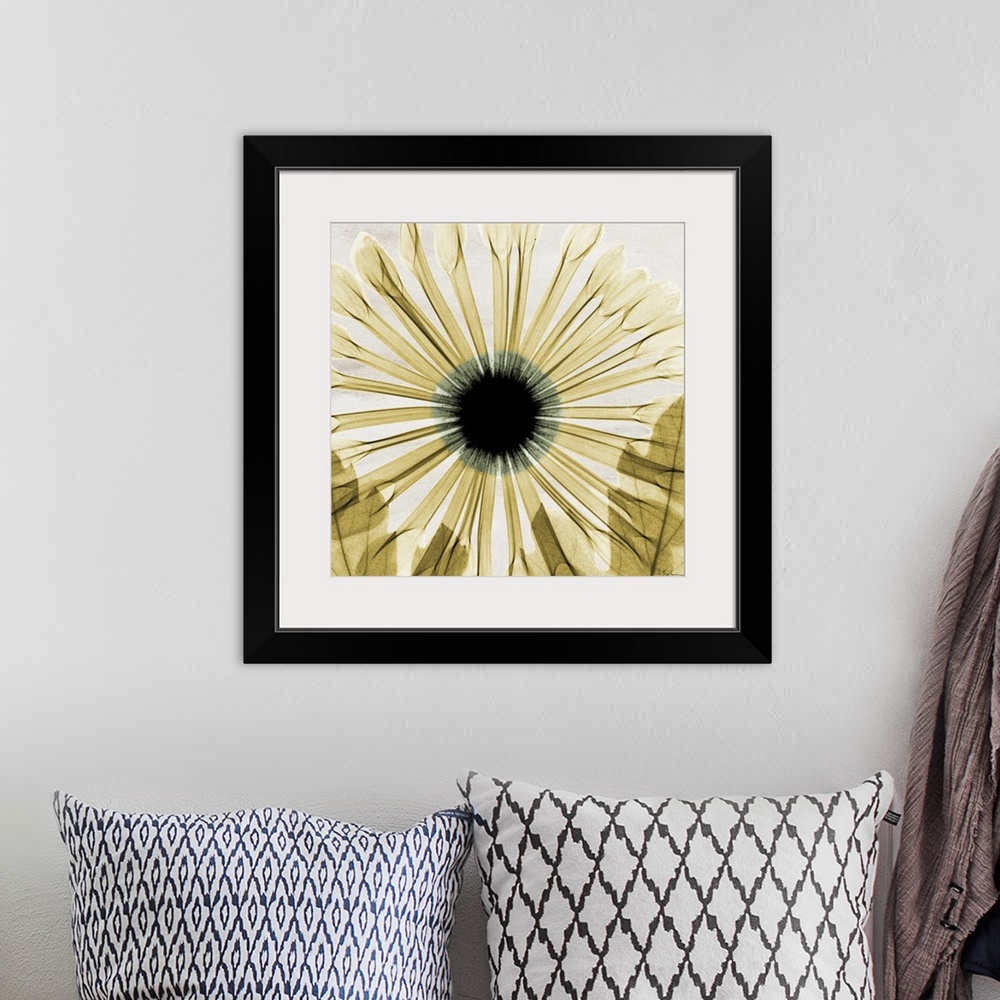 A bohemian room featuring Large, square x-ray photograph in golden tones, of a chrysanthemum with two leaves overlapping th...