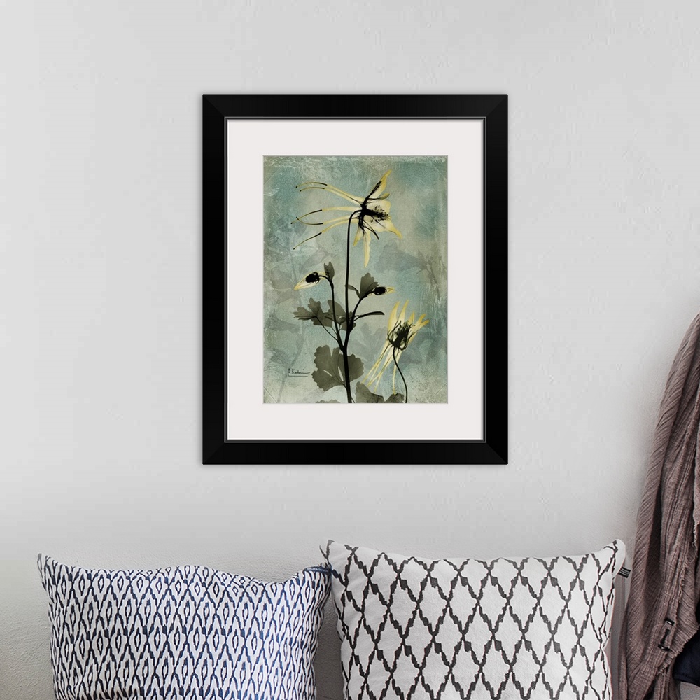 A bohemian room featuring Vertical x-ray photograph of columbine flowers. Against a cool tone background.