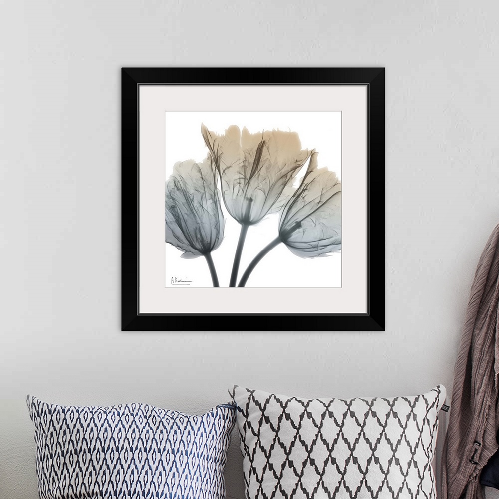 A bohemian room featuring Contemporary home decor artwork of an x-ray photograph of a flower.