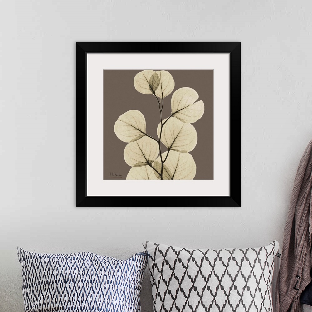 A bohemian room featuring Square x-ray photograph of a group of eucalyptus leaves on the end a tree branch, against an eart...