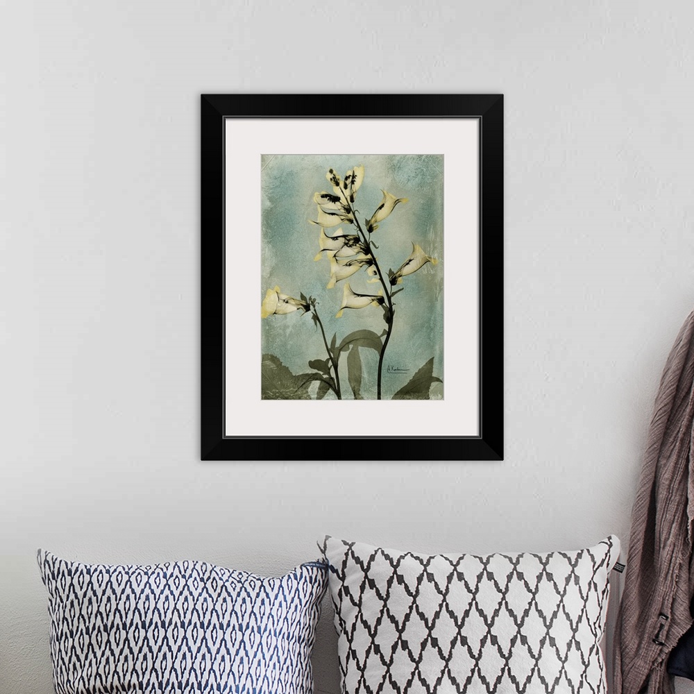 A bohemian room featuring Vertical x-ray photograph of golden foxglove flowers. Against a cool tone background.