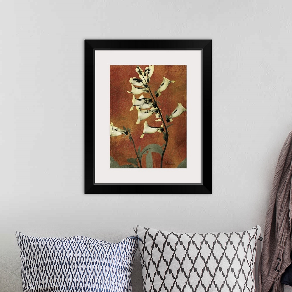A bohemian room featuring Golden Foxglove x-ray photography