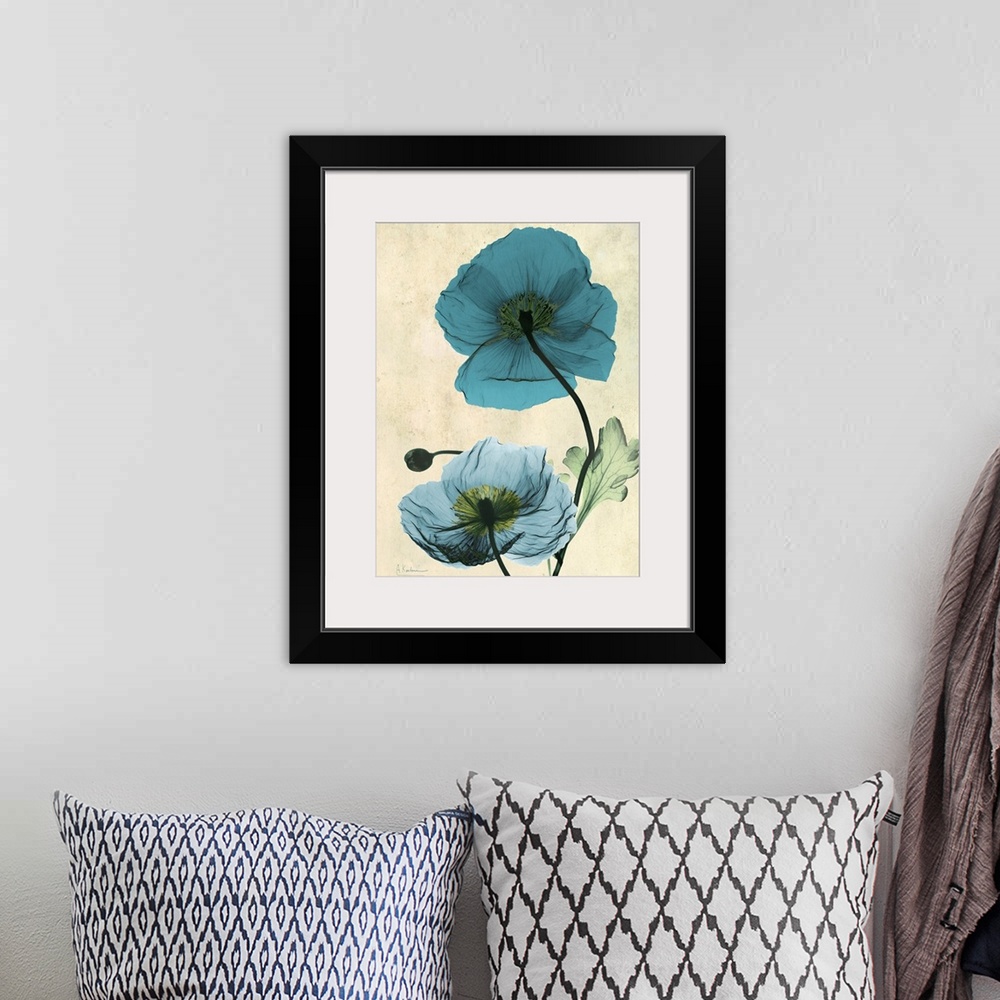 A bohemian room featuring Vertical x-ray photograph of two Icelandic poppies against a faded earth toned background.