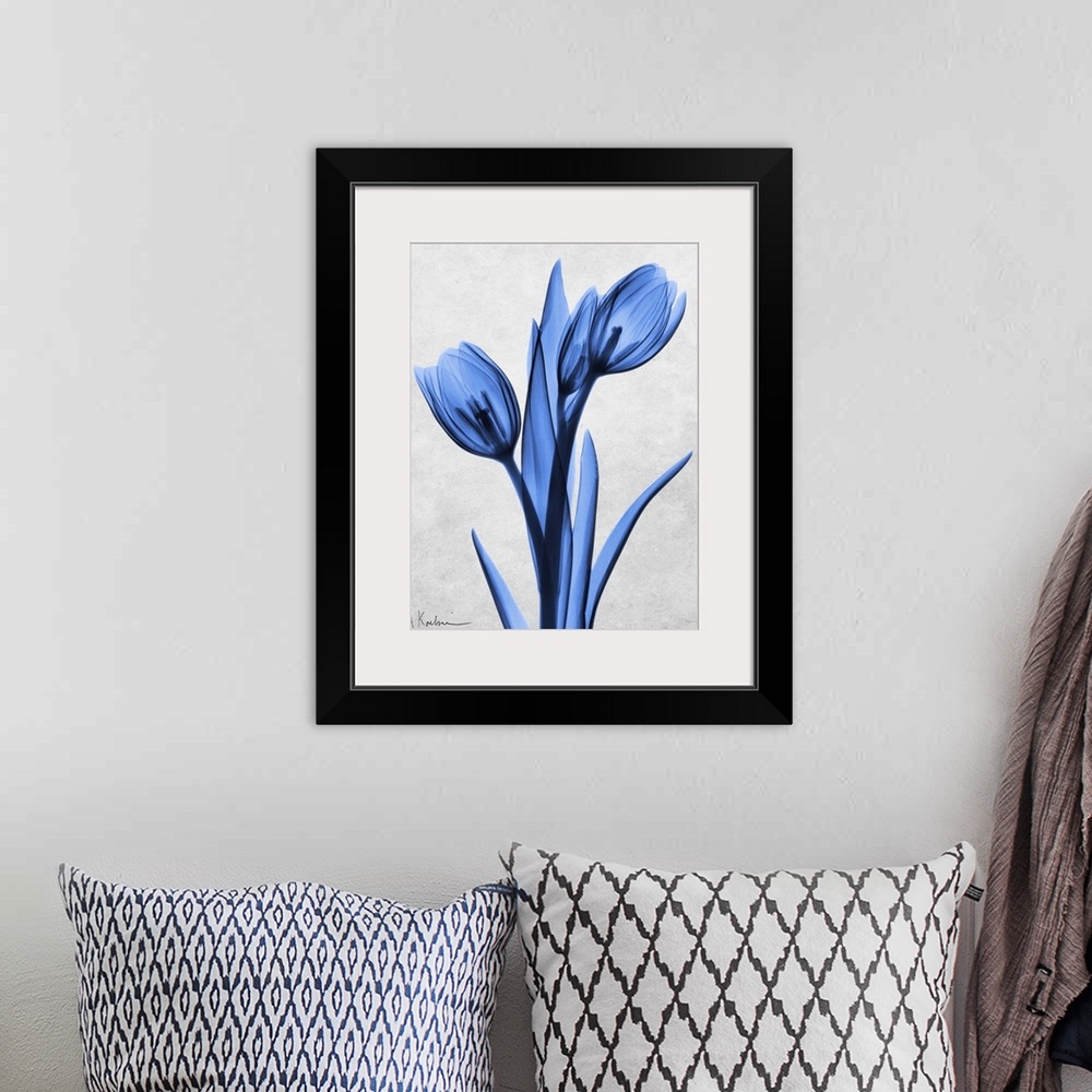 A bohemian room featuring An x-ray photograph of blue tulips against a neutral background.