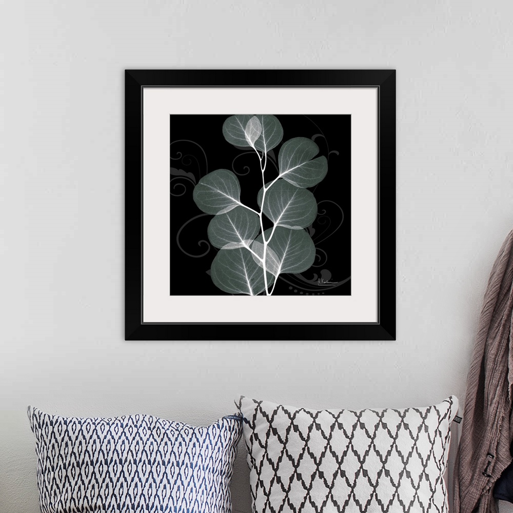 A bohemian room featuring An x-ray of mint eucalyptus leaves on a black and grey designed background.