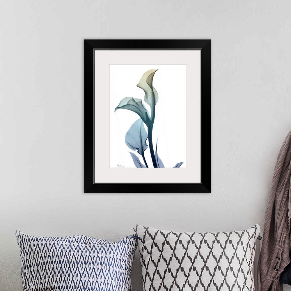 A bohemian room featuring Ombre Expression 1_Calla Lily