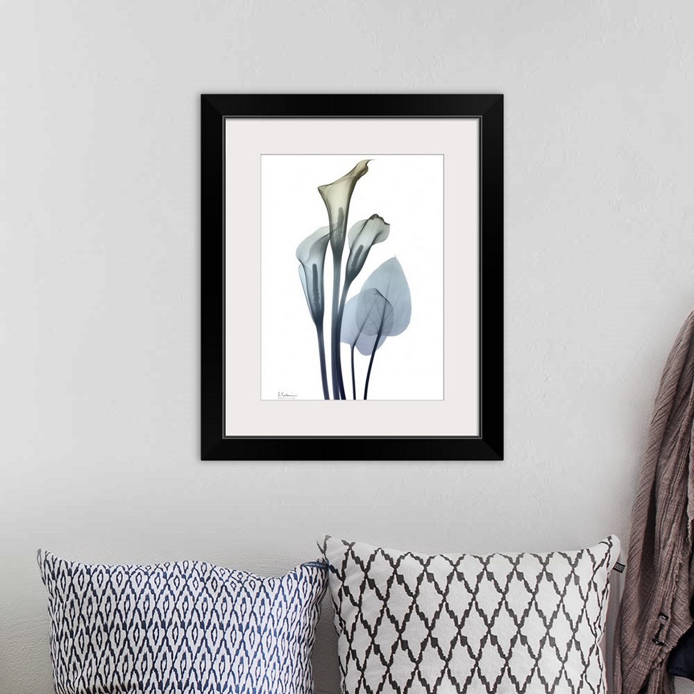 A bohemian room featuring Ombre Expression 2_Calla Lily 2