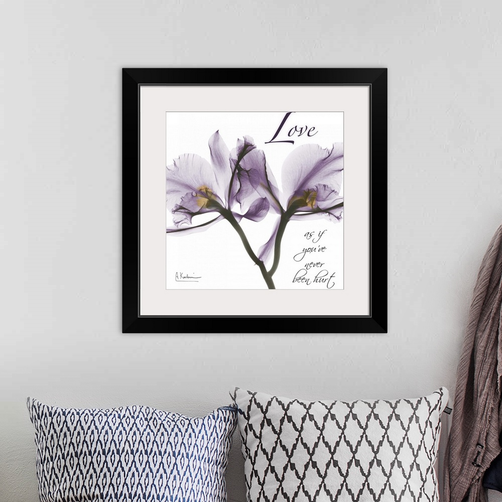 A bohemian room featuring Orchid Love x-ray photography
