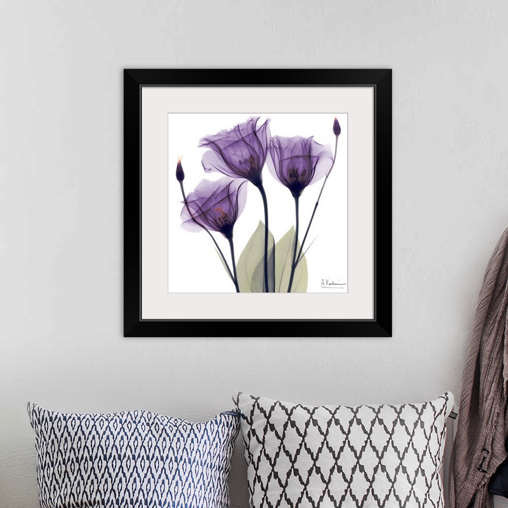 A bohemian room featuring Square x-ray photograph of three purple flowers against a white background.