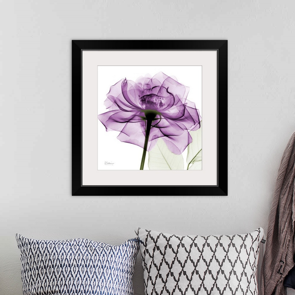 A bohemian room featuring A big print of a translucent rose with petals against a white background.