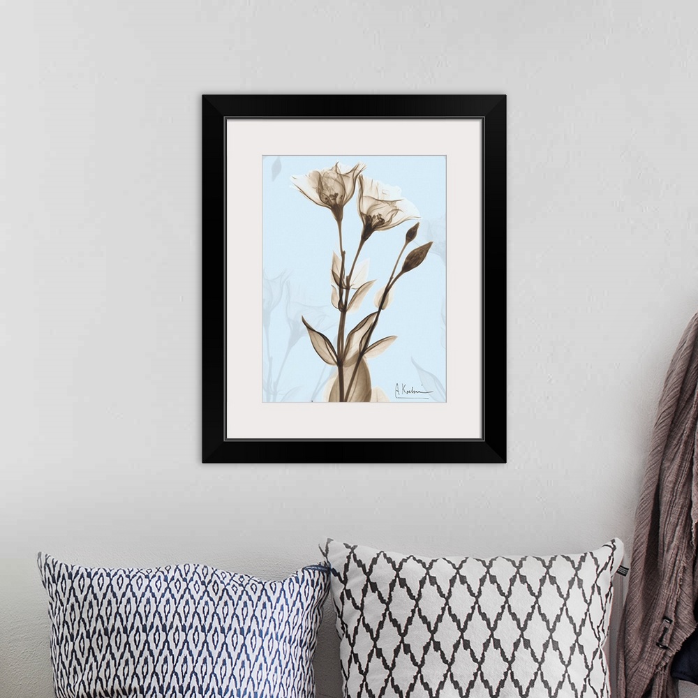 A bohemian room featuring Rose x-ray floral photograph