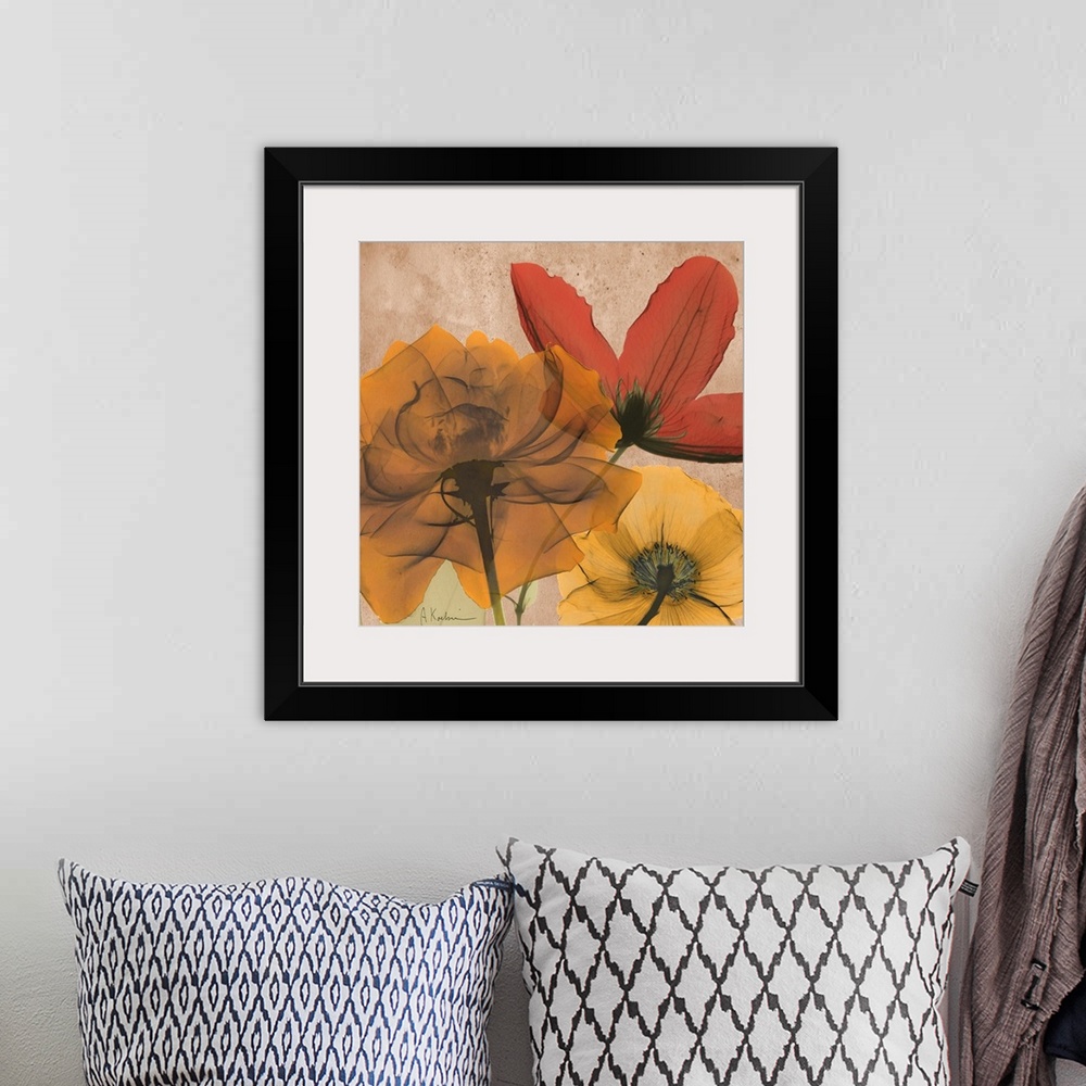 A bohemian room featuring X-Ray photography of garden flowers in soft warm tones.