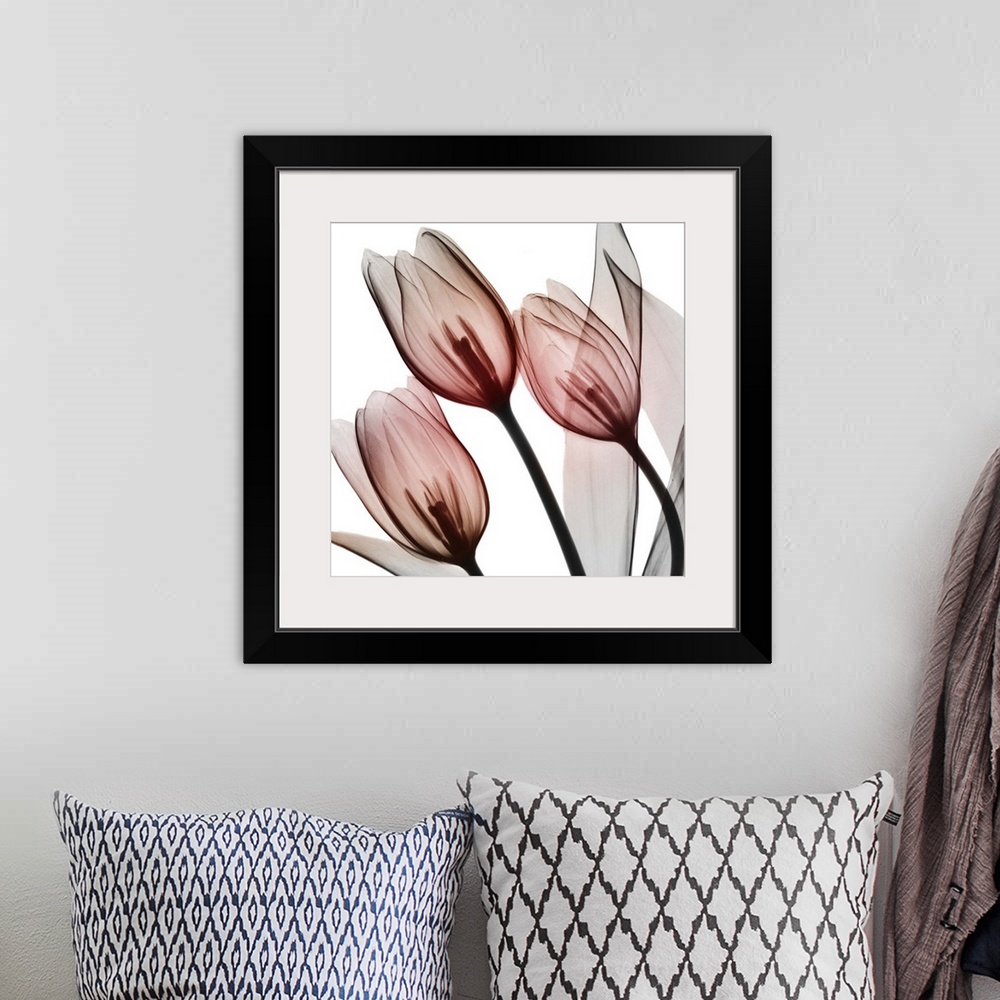 A bohemian room featuring Splendid Tulips