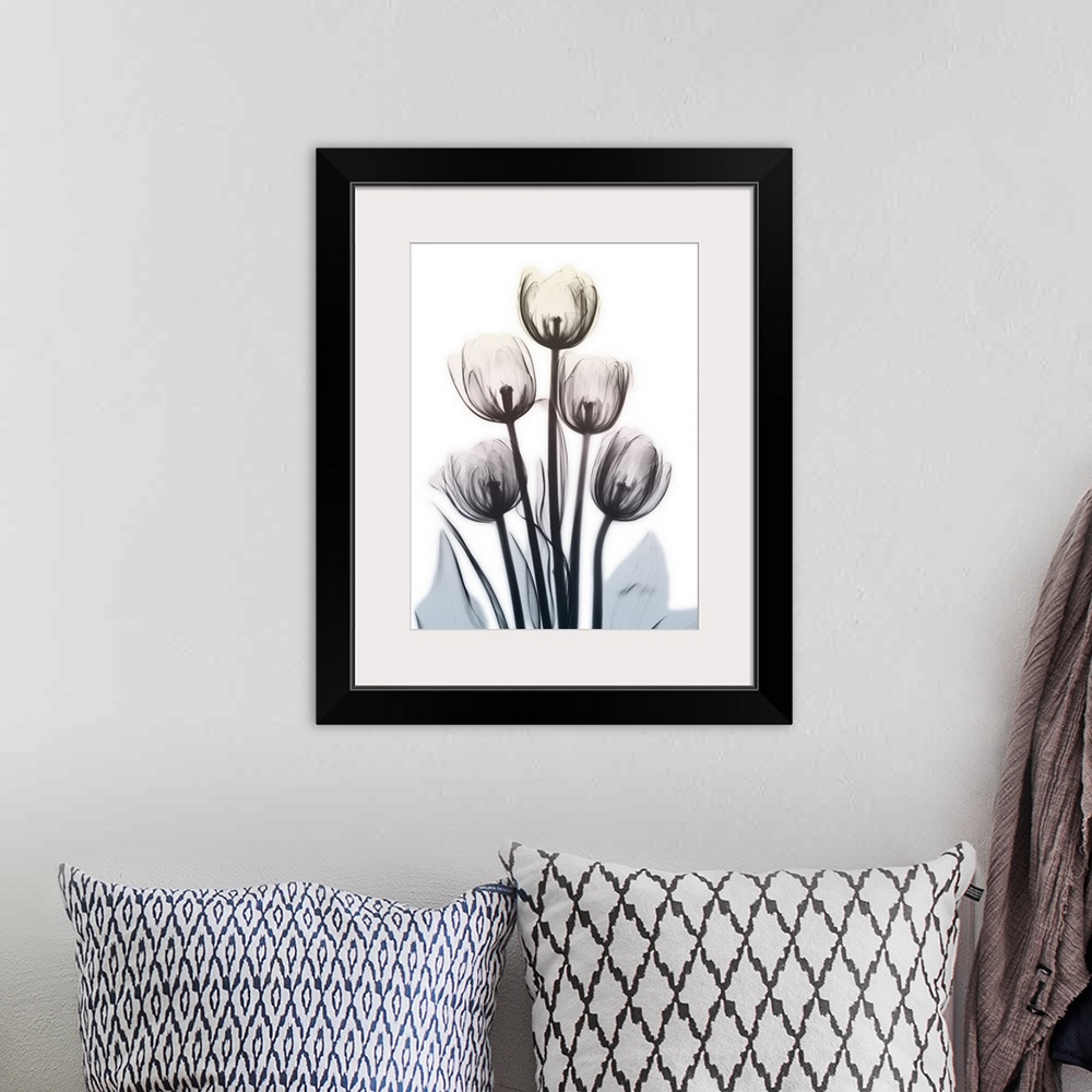 A bohemian room featuring Contemporary x-ray photography of a group of tulips.