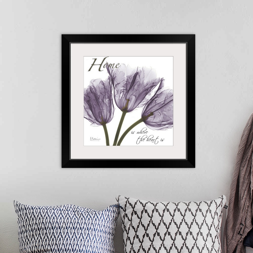 A bohemian room featuring Tulips Home x-ray photography