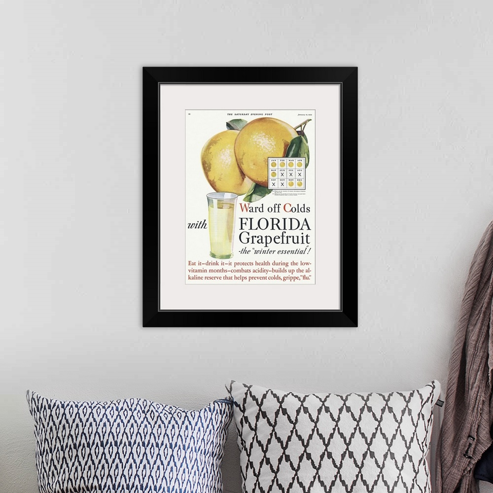 A bohemian room featuring Florida Grapefruit Advertisement