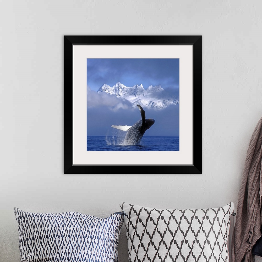 A bohemian room featuring A large whale breaches water with a thick layer of fog just behind it and only the top of the sno...