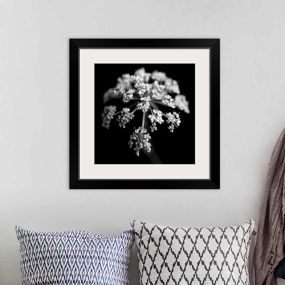 A bohemian room featuring BW Clematis 01