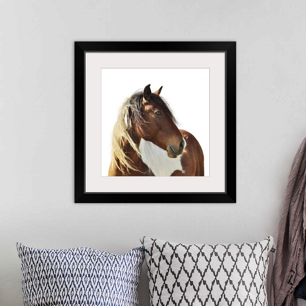 A bohemian room featuring Originally a digital painting of paint horse on white background.