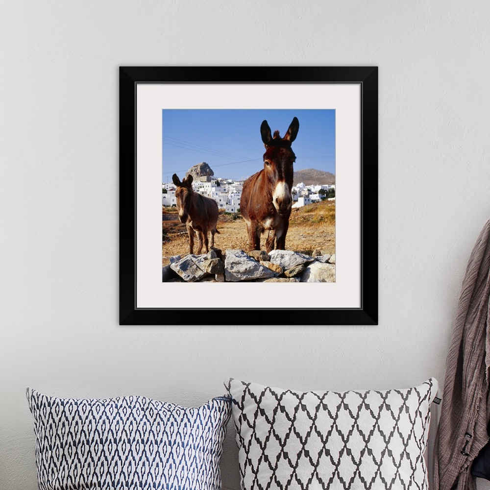 A bohemian room featuring Greece, Cyclades, Amorgos, Donkeys and Hora town in background