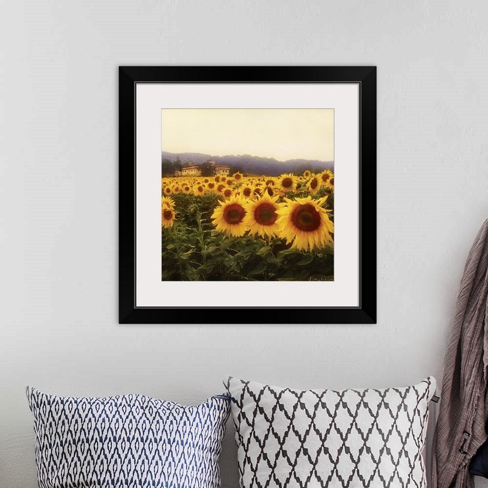 A bohemian room featuring Tuscan Sunflowers