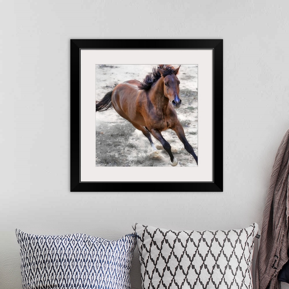 A bohemian room featuring This is a photograph of a horse mid-gallop that has been edited to reduce the color in the backgr...