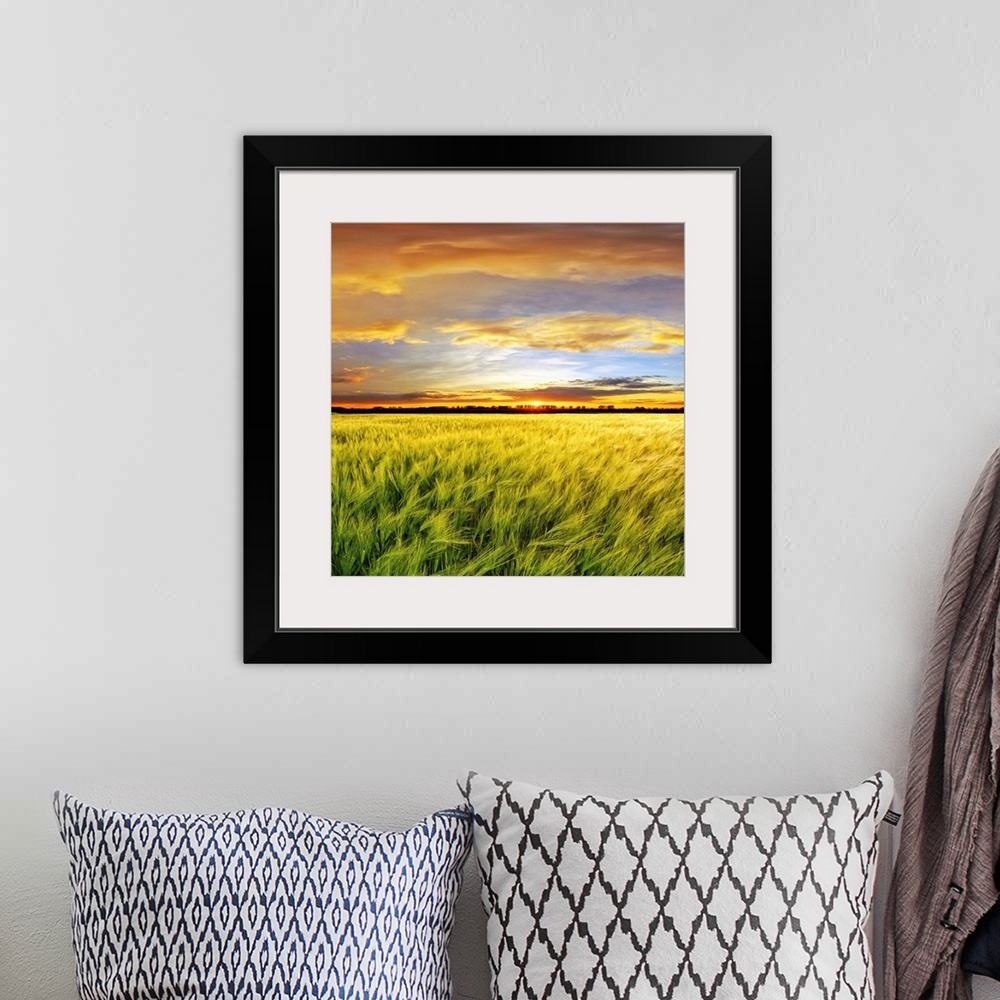 A bohemian room featuring Wheat field with sunset, Spain