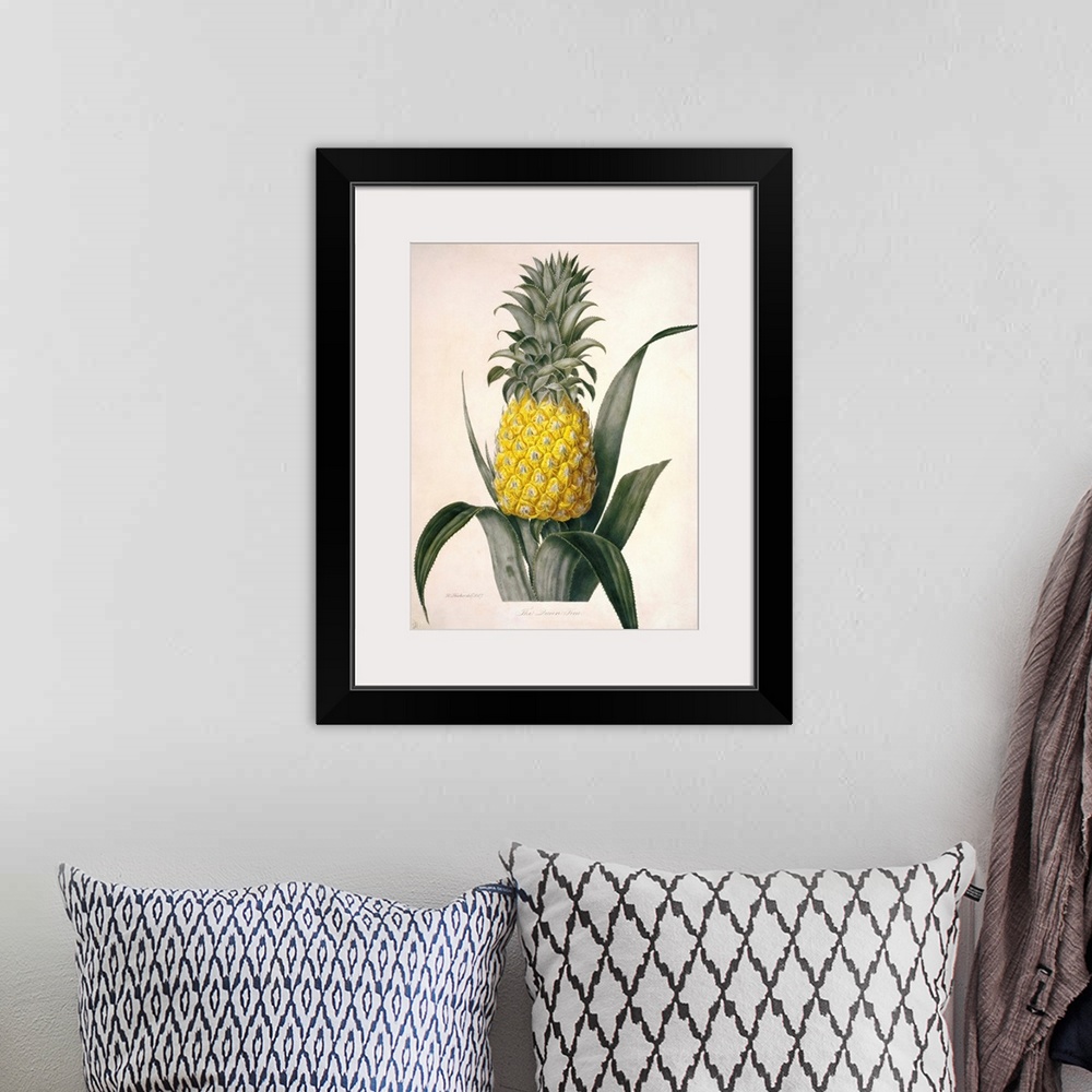 A bohemian room featuring The Queen Pineapple