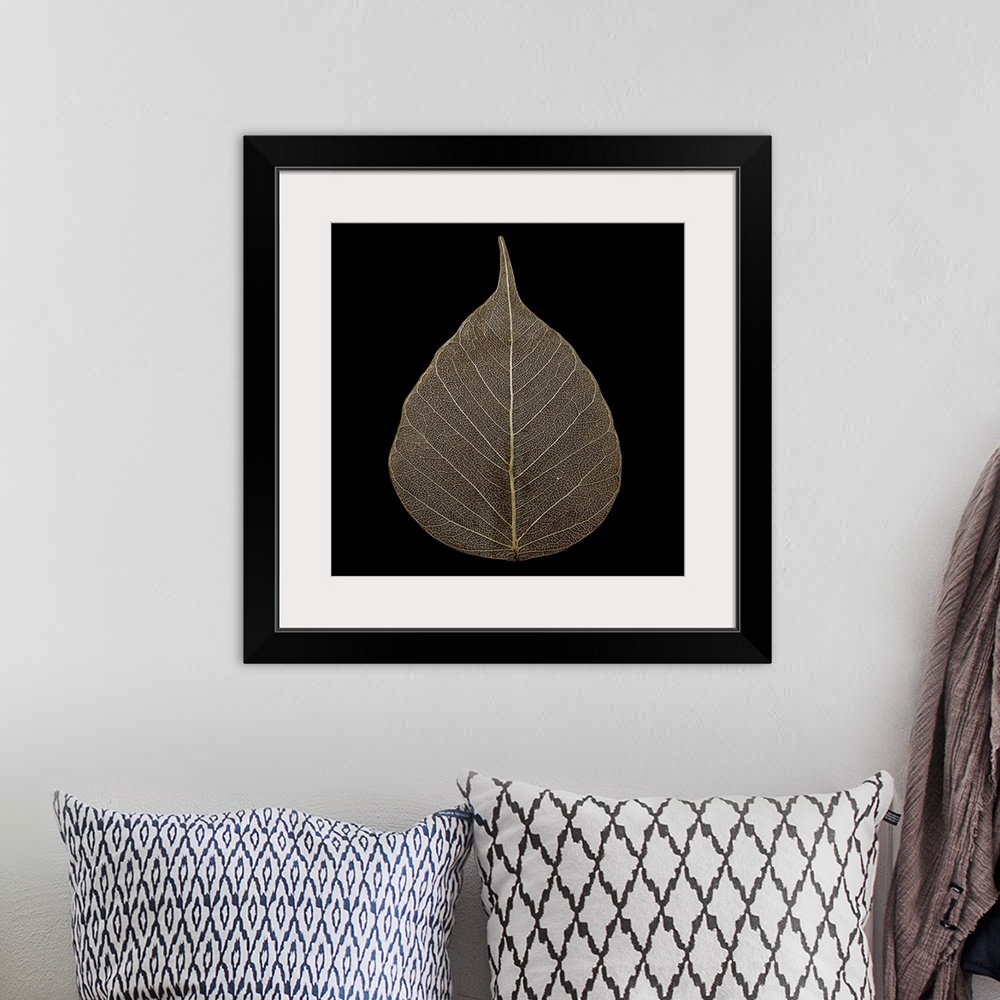 A bohemian room featuring Photograph of a single brown leaf on black.