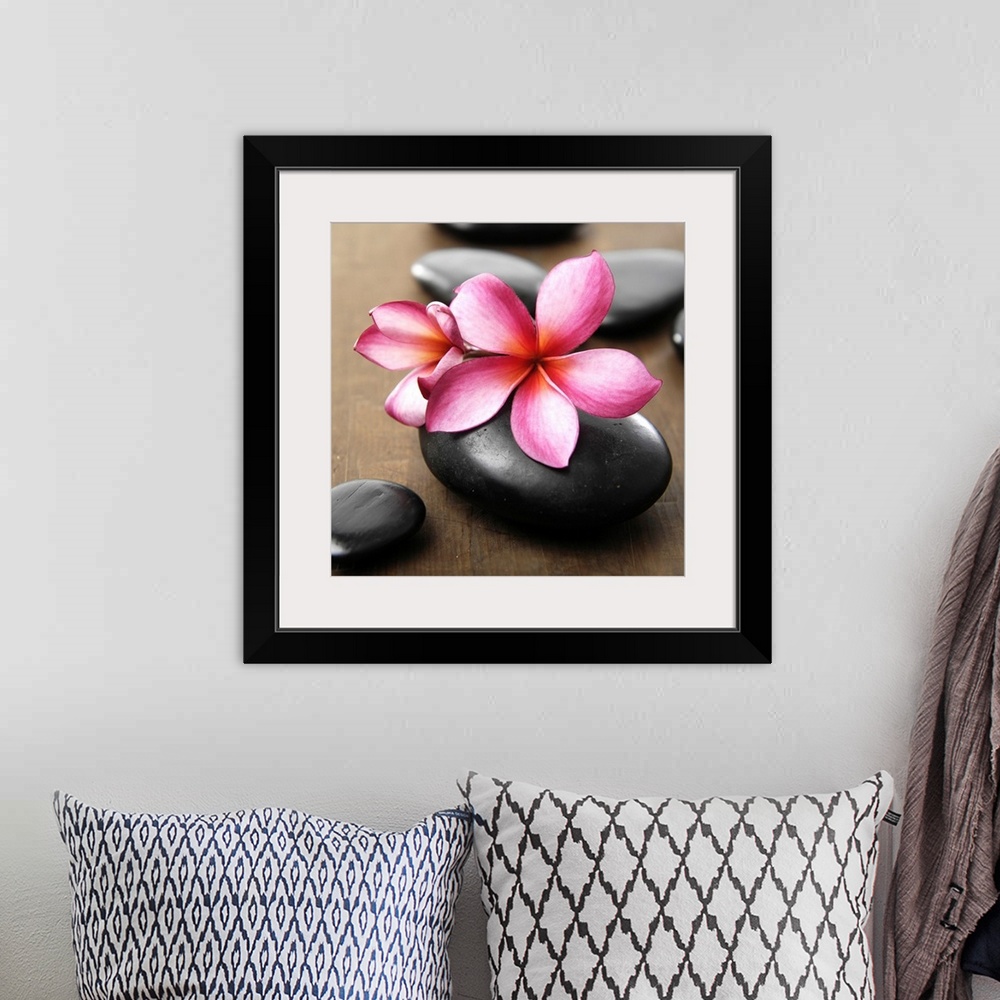 A bohemian room featuring Square image of pink flowers on smooth black rocks on wood.