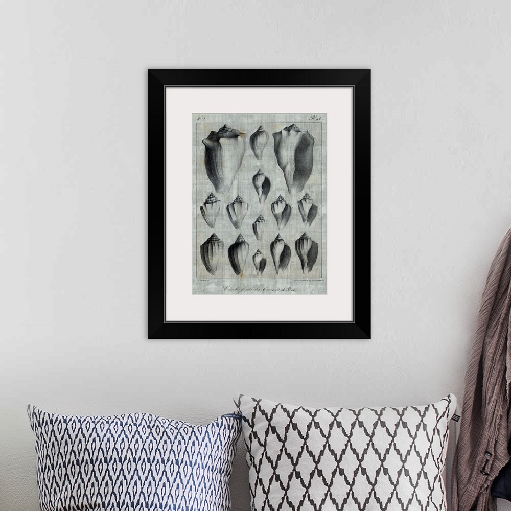 A bohemian room featuring Seashell illustrations on textured linen.